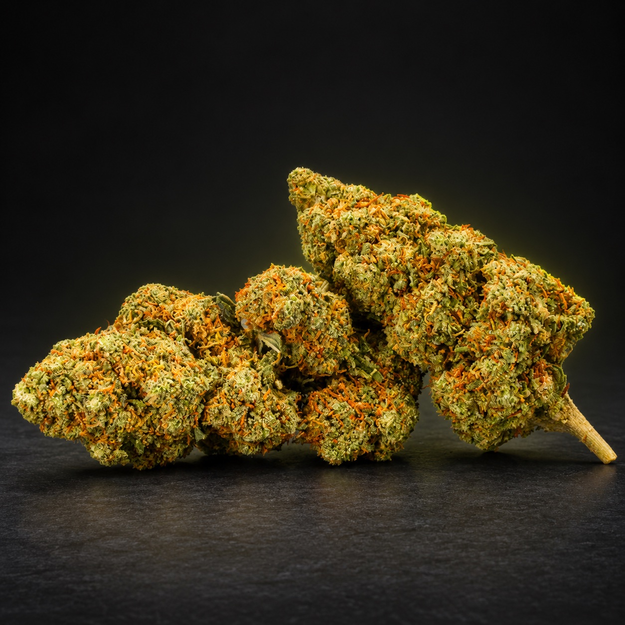 Fleur CBD de la collection PHYTORYX
